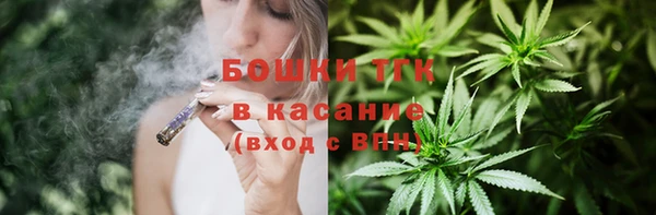 шишки Балабаново