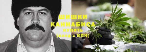 шишки Балабаново